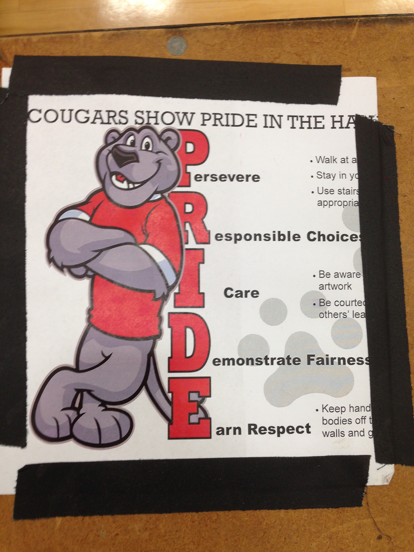 Country Trails Cougars Pride school expectations poster